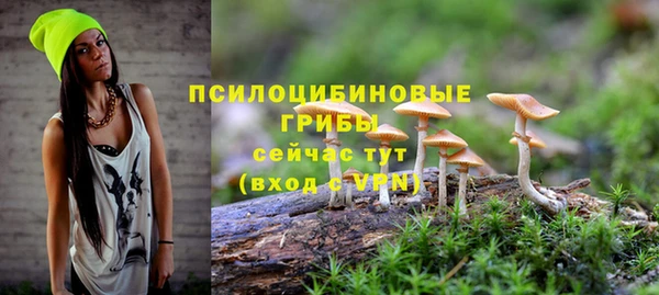 молекула духа Алексин