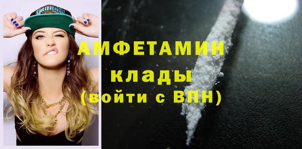 молекула духа Алексин