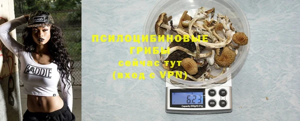 молекула духа Алексин