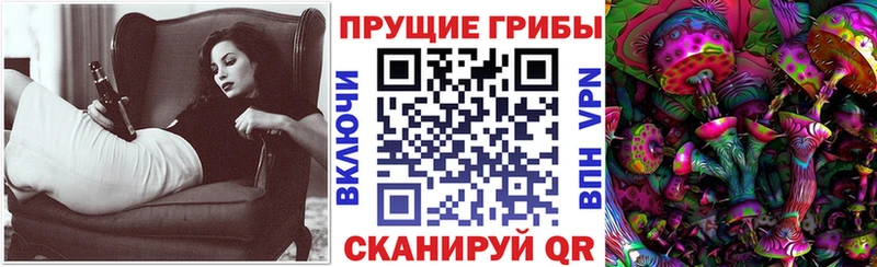 Галлюциногенные грибы мицелий  купить   Волгоград 